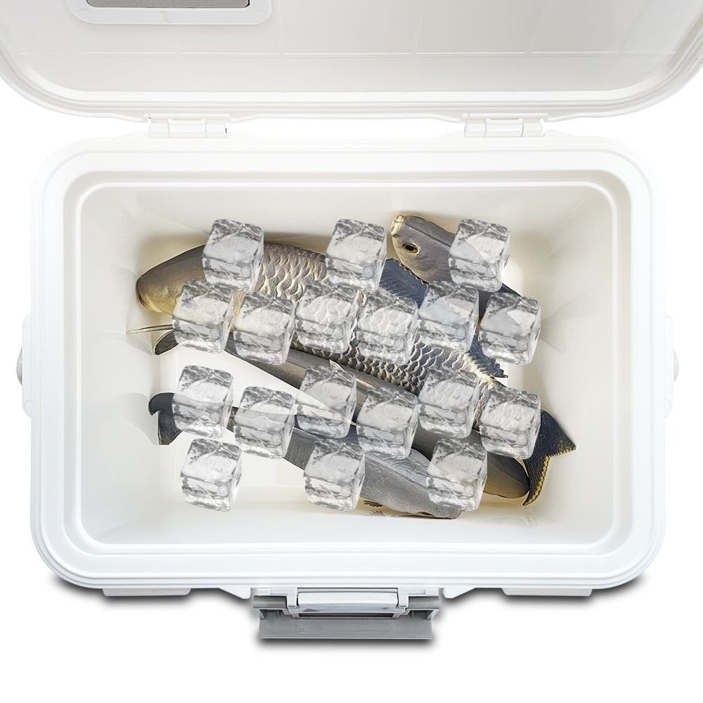 An outdoor cooling box with a tank full of fish and shrimp